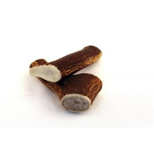Parožie jelenie Geweih - Snack S